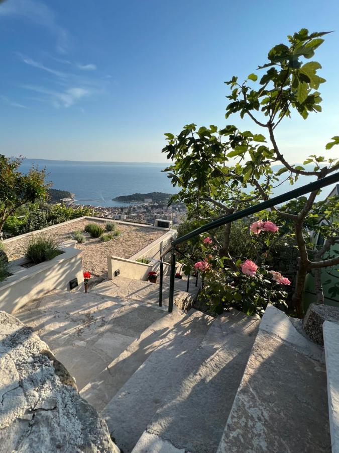 Villa Pelargonia 马卡尔斯卡 外观 照片