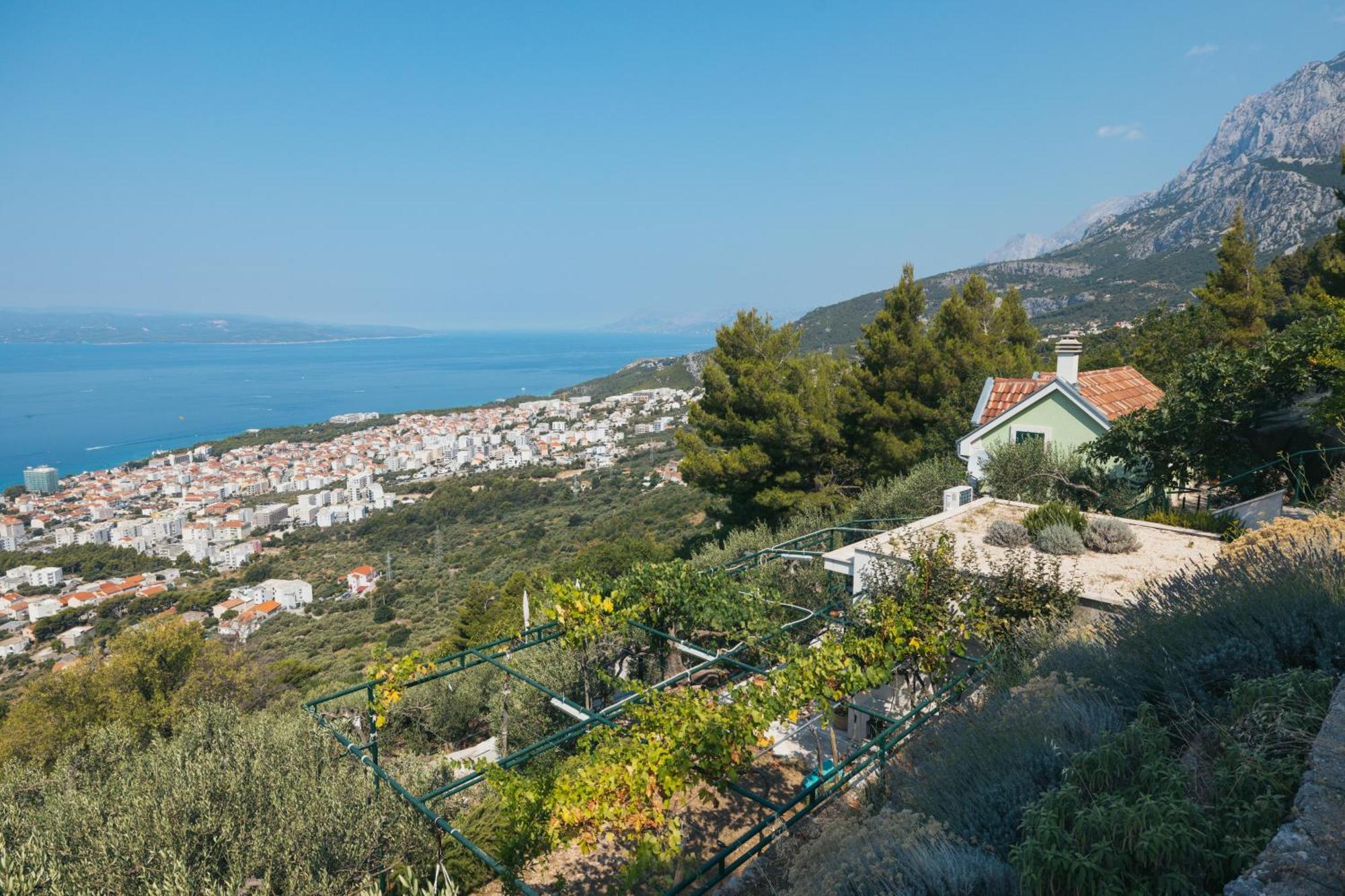Villa Pelargonia 马卡尔斯卡 外观 照片